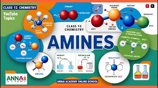 Understanding Amines Unlocking the Secrets of Organic Chemistry [upl. by Veno]