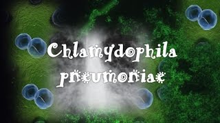 Chlamydophila pneumoniae [upl. by Okire588]