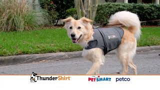 ThunderShirt  30 sec Infomercial 2021 [upl. by Lauritz935]