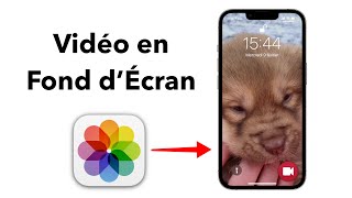 Comment Mettre une VIDÉO en FOND DÉCRAN sur iPhone [upl. by Rento]