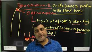 TYPES OF MERISTEMATIC TISSUE 2nd for NEETTGT ll PGT ll LT GIC BIOLOGY Assistant professor [upl. by Cohby954]