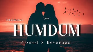 Humdum  Vishal Mishra  SAVI  Slowed X Reverbed  New Hindi Songs 2K24 [upl. by Nesline]