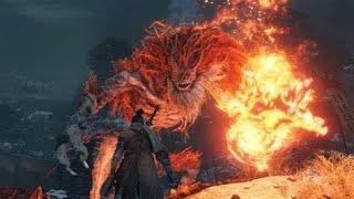 Demon of Hatred Boss Fight  Sekiro Shadows Die Twice Gameplay [upl. by Ahseiyk]