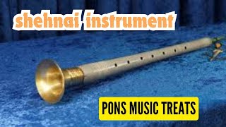 Shehnai Instrument [upl. by Lacey]