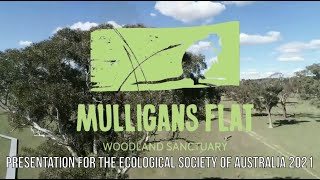 Mulligans Flat ESA 2021  Flourishing Nature Flourishing Culture [upl. by Germaine]