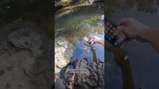 MustHave for Outdoor Photographers Using the Waterproof Case [upl. by Hacker]