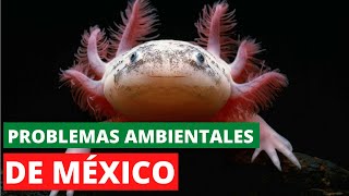 Los 17 PROBLEMAS AMBIENTALES DE MÉXICO Más URGENTES de RESOLVER🏭🌎 [upl. by Eitra]