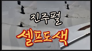 진주펄 셀프도색 부분 복원 단돈5만원이 영상 하나만 누구나 할수있습니다현직 전문가 꿀팁 대방출 [upl. by Ajay]