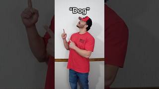 Learn ASL “Dog” asl americansignlanguage deaf hardofhearing education learn fun english [upl. by Alano]