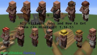 All Villager Jobs and How to Get Them  Minecraft 1165 [upl. by Akciret]