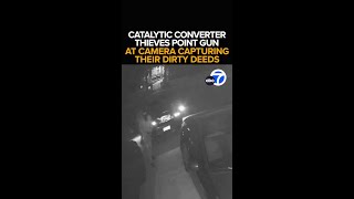 Catalytic converter theft caught on camera [upl. by Rammaj]