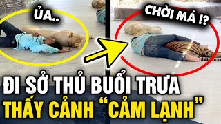 Vào sở thú GIỜ NGHỈ TRƯA cô gái chứng kiến CẢNH TƯỢNG HỮU TÌNH trong chuồng hổ  Tin 3 Phút [upl. by Einahpit397]