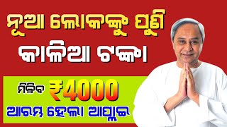 kalia yojana new apply online 2023  kalia yojana new grievance apply 2023  Kalia Yojana Odisha [upl. by Cymbre]