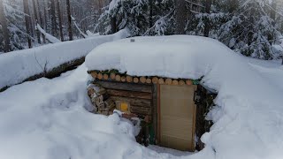 How to Build a Survival Shelter in the Wild StepbyStep Process Сomfort inside [upl. by Becker629]