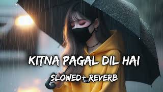 Kitna pagal Dil hai ❤️ love song lofi song slowed reverb lofi song love [upl. by Lawrence]