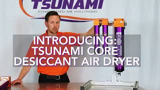 CORE Desiccant Air Dryer System  Tsunami Compressed Air Solutions [upl. by Nelac710]