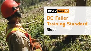 BC Faller Training Standard  Slope 11 of 17 [upl. by Nannaihr992]