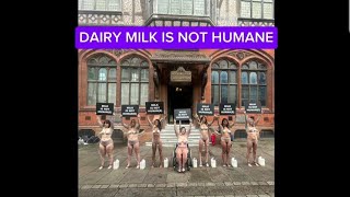 Milk Is Not Humane SPECIESISMWTF demo at Canterbury [upl. by Ailil]