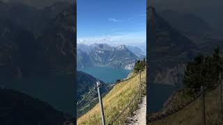 Incredible Dog Hike 🐾 Stoos  Klingenstock to Fronalpstock 🌄 Swiss Alps [upl. by Nealey540]