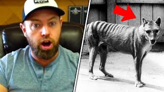 Forrest Galante CRAZY STORY On Tasmanian Tigers In Papua New Guinea [upl. by Grange]