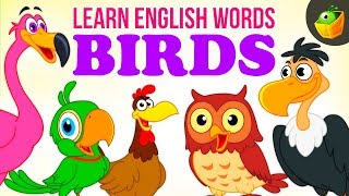 Birds  Pre School  Learn English Words Spelling Video For Kids and Toddlers [upl. by Zashin]