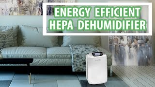 Dehumidifier with HEPA air cleaner to control humidity dust virus pathogens  VackerGlobal [upl. by Magdalena]