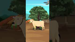 quotगुरु और शिष्यquot  Guru Shishya Stories  Short  Story In Hindi  Candy TV Hindi [upl. by Ajat]