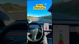 Tesla otopilot🚘  tesla [upl. by Maitilde]