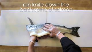 How to Fillet a Wild Alaska Salmon [upl. by Truitt]