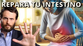 Cómo Reparar el SIBO y tu Salud Intestinal [upl. by Sanford942]