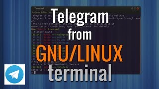 How to use Telegram with GNULinux UBUNTU RASPBIAN terminal  Como usar Telegram por terminal [upl. by Idet737]