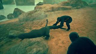 Ape Clan Hunting African Otter In Ancestors Part 88 [upl. by Alioz]