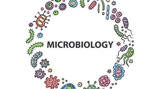 Vibrio MicrobiologyPathology MBBS [upl. by Boulanger800]