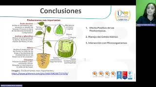 Fisiología de cultivos [upl. by Swain]