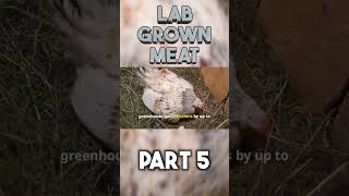 Lab Grown Meat part 5 shorts [upl. by Githens755]