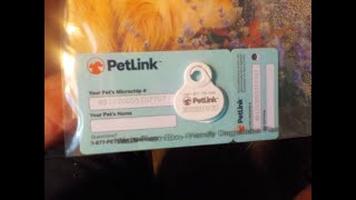 DSCN9954 PetLink for Ire Stinson [upl. by Elyrad114]