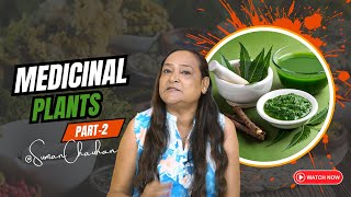 Medicinal Plants Part 2 More Natural Remedies for Your Health [upl. by Tirma]