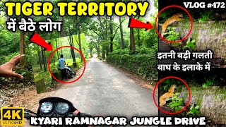 TIGER TERRITORY में बैठे लोग❌😰🚷TIGER AT NIGHT IN BUFFER ZONE WILD JUNGLE DRIVE ALERT FROM WILDLIFE [upl. by Evelc856]