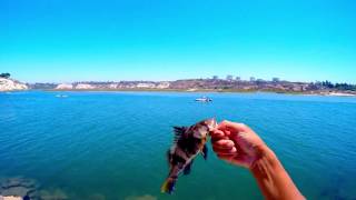 Upper Newport Bay Fishing [upl. by Junie]