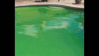 Assurer Clean  Pastilhas para Piscina [upl. by Ahsienom278]