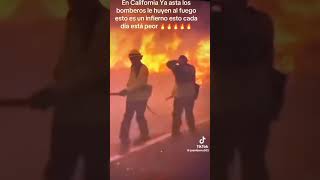 Bomberos forestales el trabajo más riesgoso viralvideos noticias viralvideos bomberos [upl. by Yekcor]