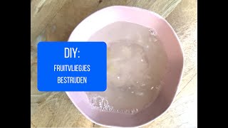 DIY fruitvliegjes bestrijden [upl. by Bobseine]