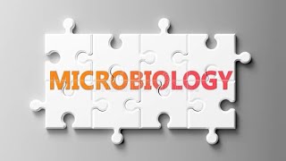 Pasteurella Microbiology PathologyMBBS [upl. by Ylehsa]