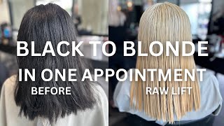 Epic Black to Blonde Hair Transformation OneDay Color Correction Tutorial [upl. by Kristos]