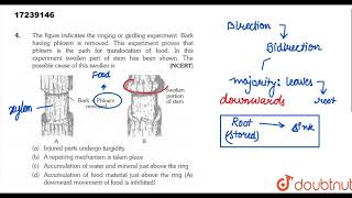 The figure indicates the ringing ro girdling experiment Bark having phloem is removed [upl. by Vesta127]