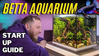 How to setup Easy planted nature aquarium for a Wild Betta [upl. by Ahsirtak]