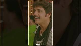 Ragada Anushka Nagarjuna Brahmanandam Ytshorts Shorts Reels Video [upl. by Pittel]