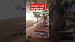 kayu keruing Kalimantan sawmill carpentry sawmillindonesia woodwork bandsaw furniture [upl. by Adriana782]