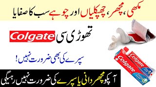 Mosquito Repellent with Colgate Toothpaste  Mosquito Killer Homemade [upl. by Adniroc]