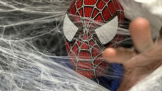 ASMR My Spiderweb Gets Stuck in Your Face [upl. by Eecrad]